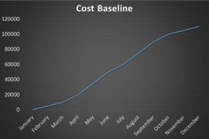 Cost Baseline